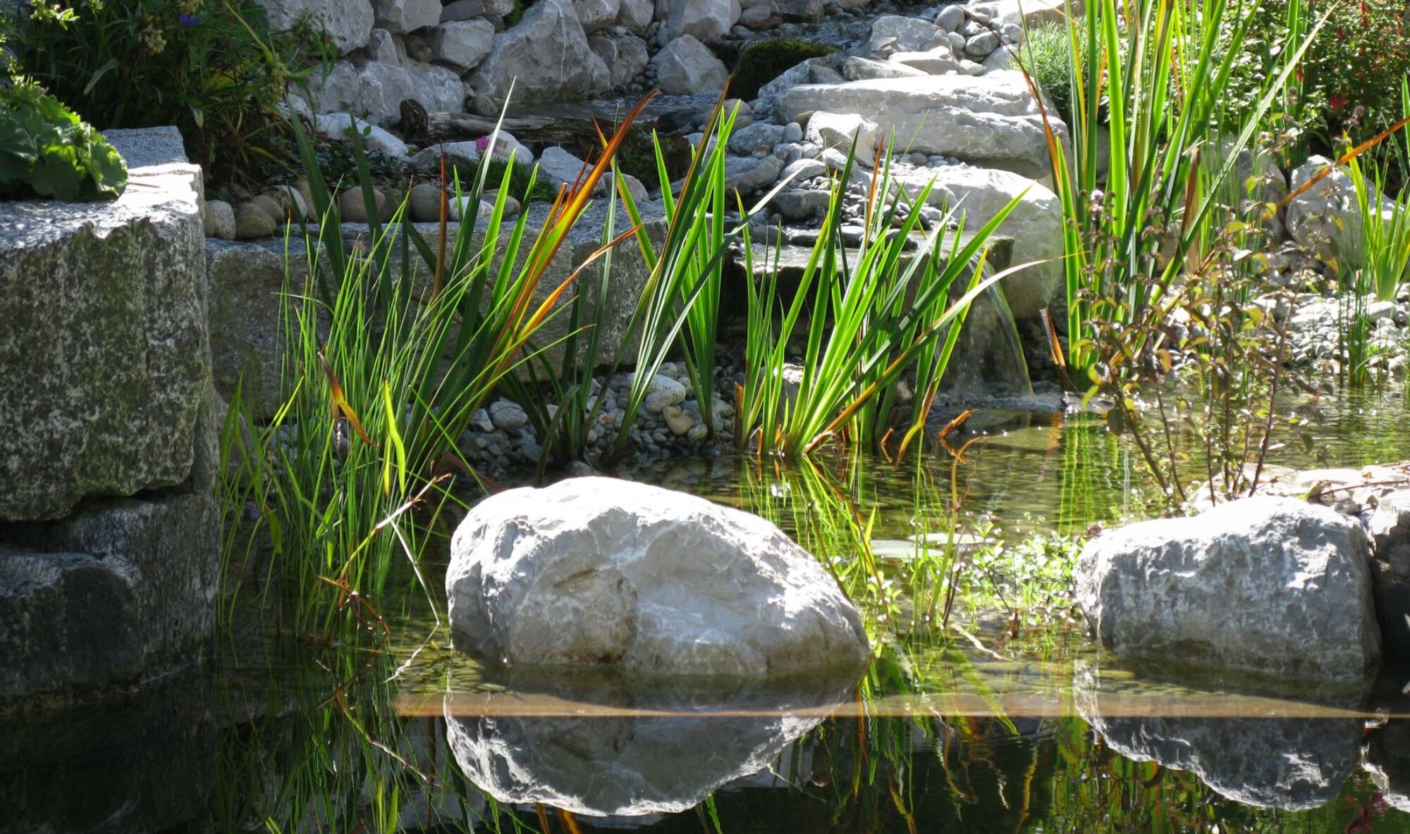 DAUL garden: Gartengestaltung in Luzern, Sursee, Zug, Oftringen, Aarau, Lenzburg, Bremgarten, Muri, Merenschwand
