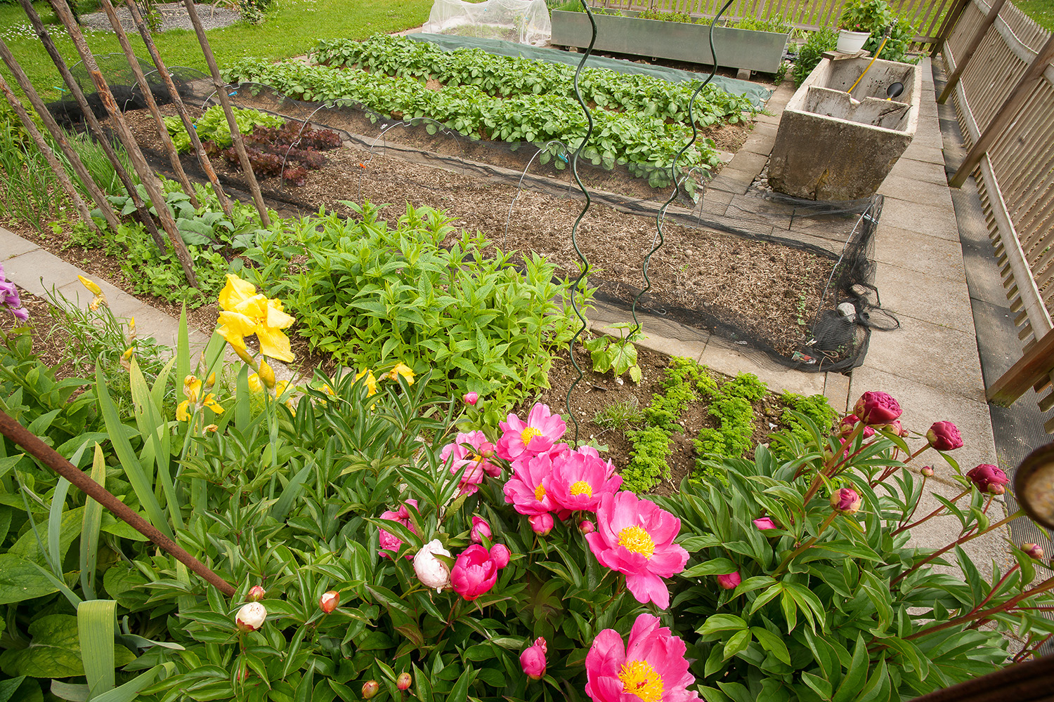 Nutzgarten